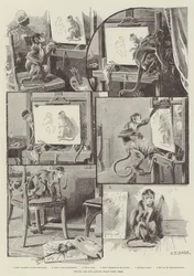 Die Dinge sind nicht immer so, wie sie scheinen